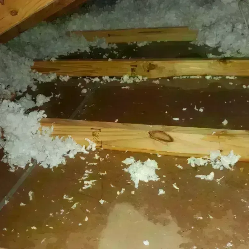 Attic Water Damage in Marshall County, TN