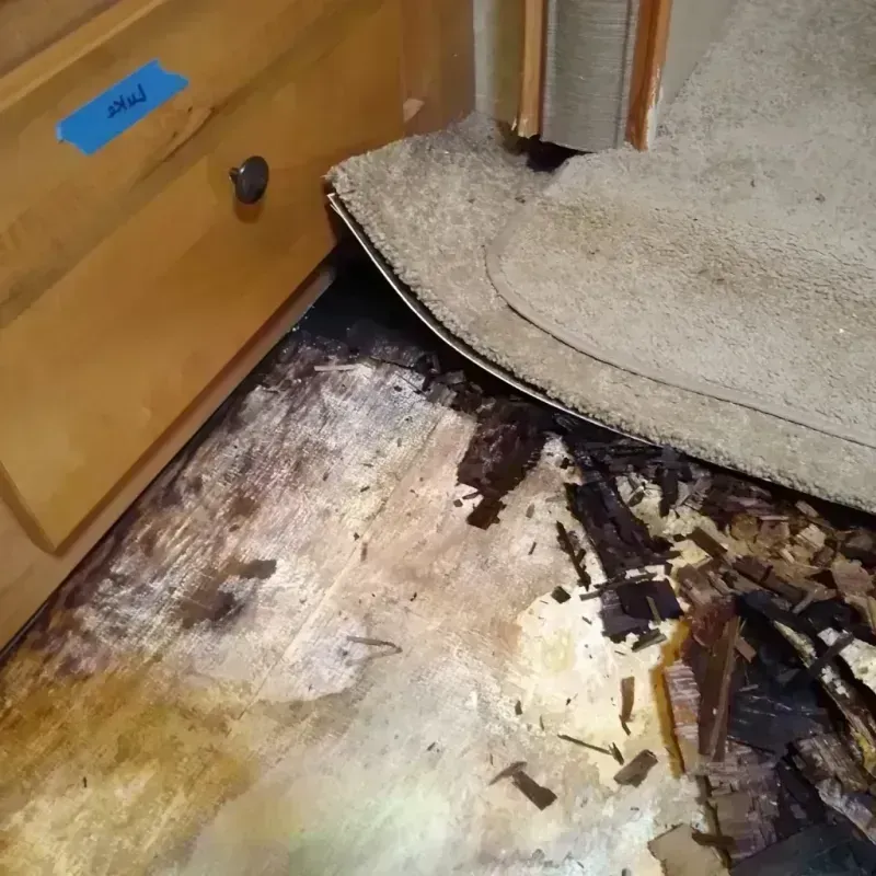 Best Wood Floor Water Damage Service in Marshall County, TN